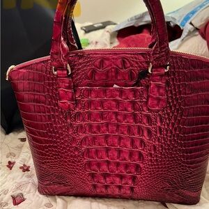 Brahmin sample bag